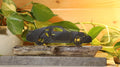 Statue Voiture Imprimée en 3D et bois flotté